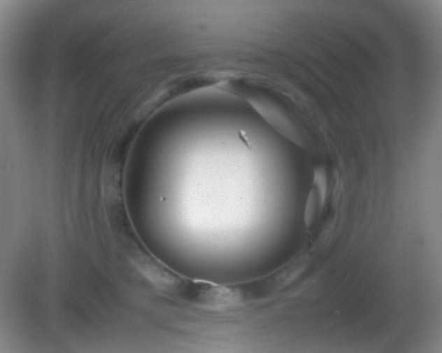 X0000082990421200702011434