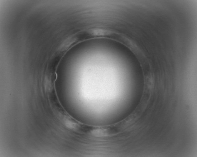 X0000082990422200702011434