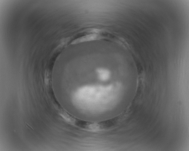 X0000082990423200702011434