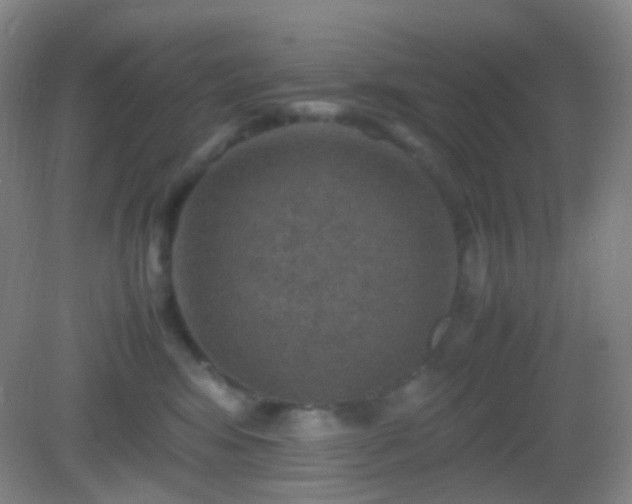 X0000082990424200702011434