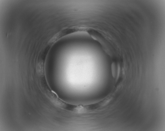 X0000082990425200702011434