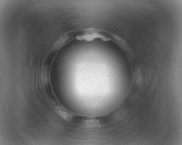 X0000082990426200702011434