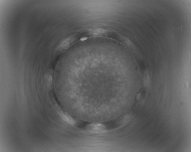 X0000082990427200702011434