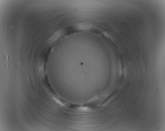 X0000082990428200702011434