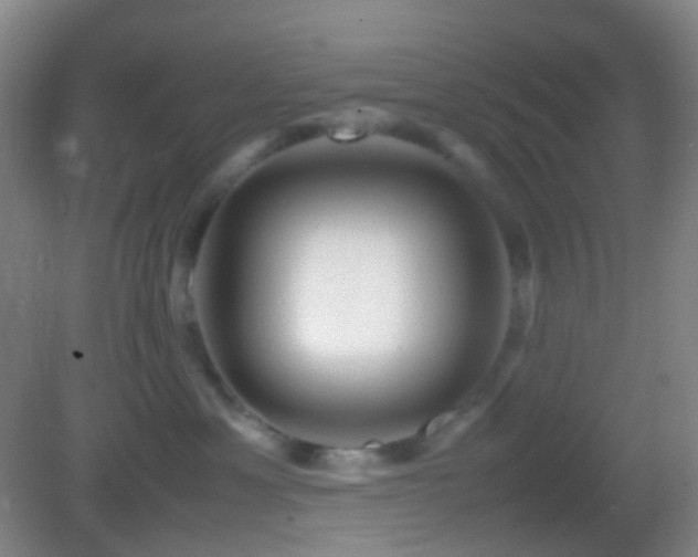 X0000082990429200702011434