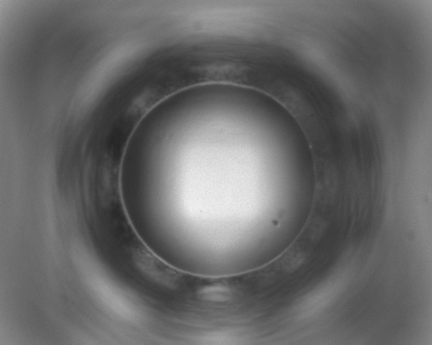 X0000082990430200702011434