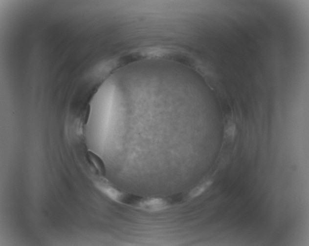 X0000082990431200702011434