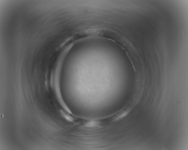 X0000082990432200702011434