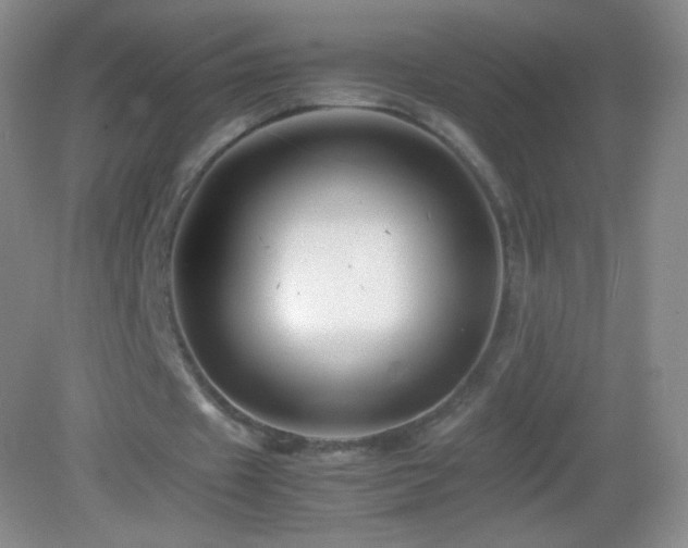 X0000082990433200702011433