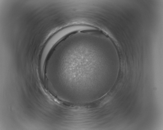 X0000082990434200702011433