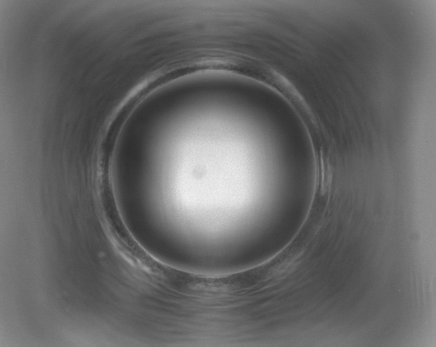 X0000082990435200702011433