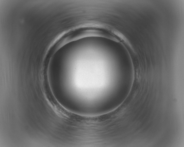 X0000082990436200702011433