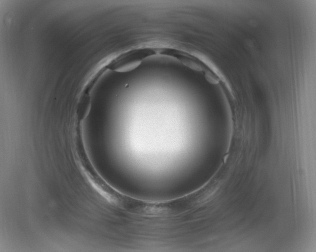 X0000082990437200702011433