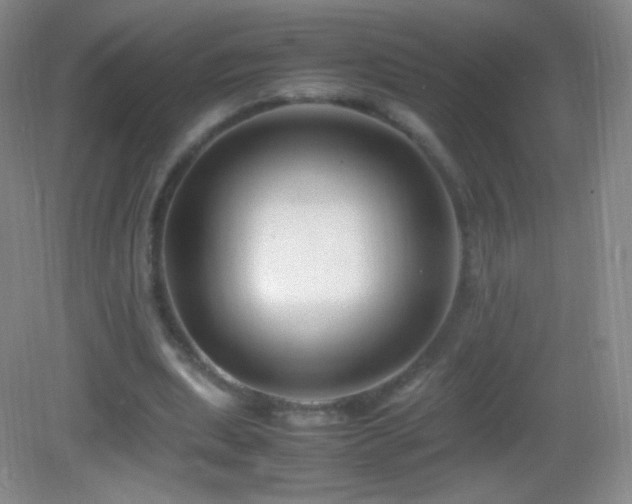 X0000082990439200702011433