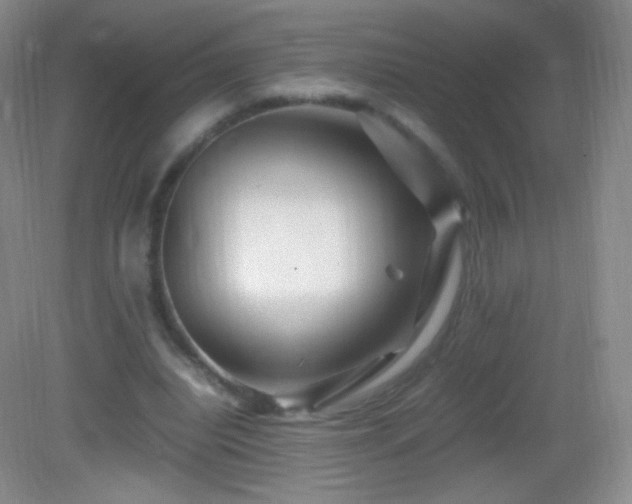 X0000082990440200702011433