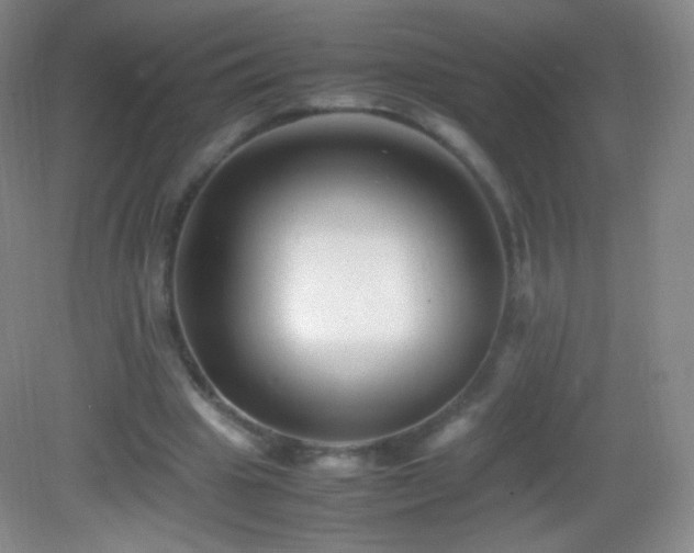 X0000082990441200702011433