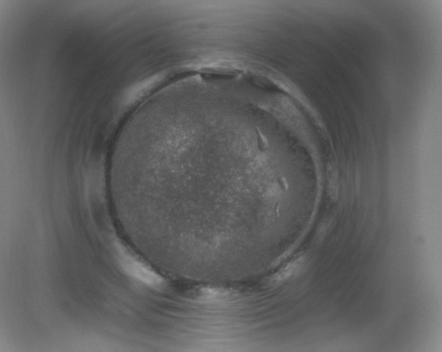 X0000082990442200702011433