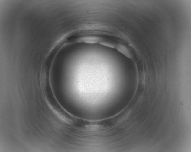 X0000082990448200702011433