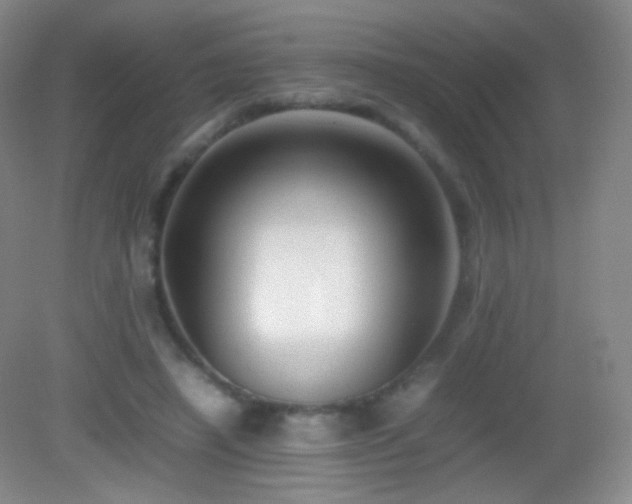 X0000082990450200702011433