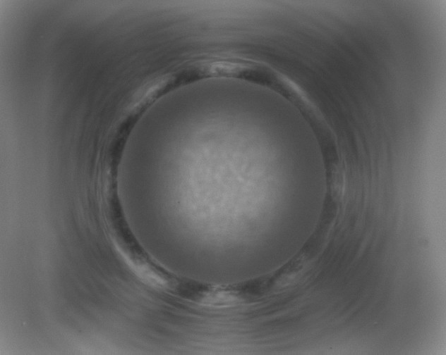 X0000082990451200702011433