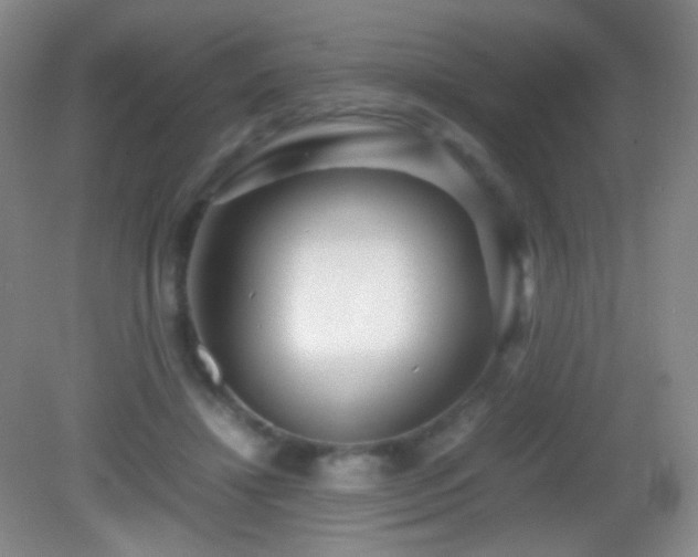 X0000082990452200702011433