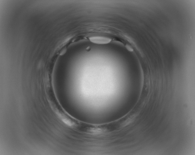 X0000082990453200702011433