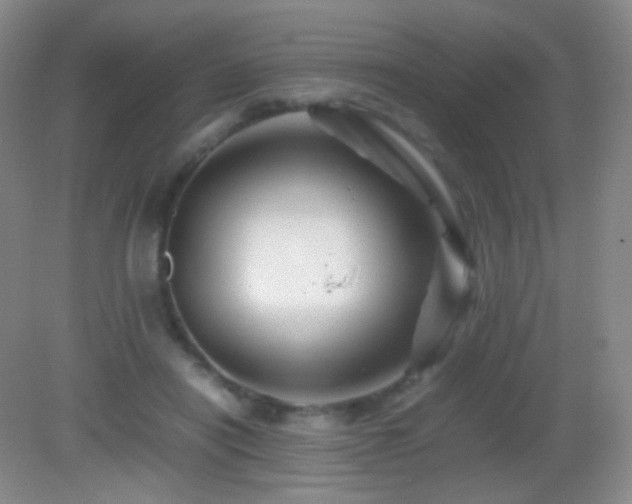 X0000082990454200702011433