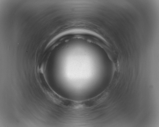 X0000082990456200702011433