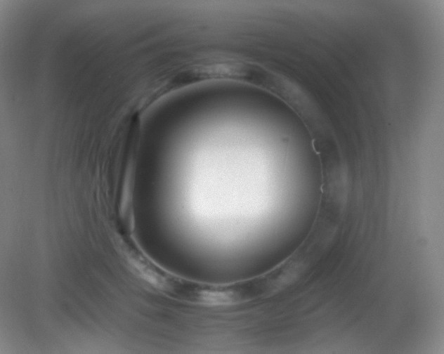 X0000082990457200702011433