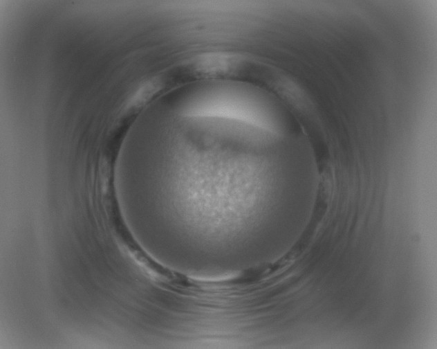 X0000082990458200702011433