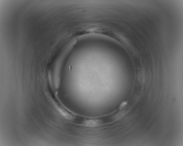 X0000082990461200702011433