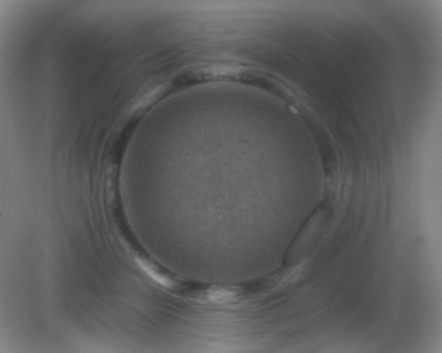 X0000082990462200702011433