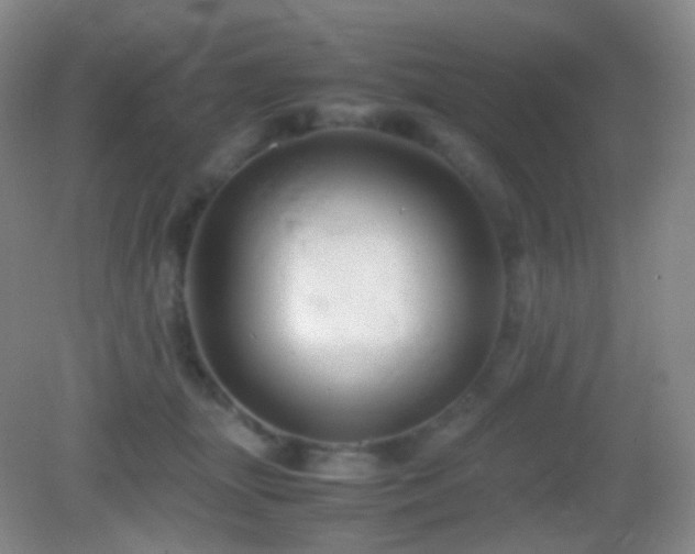 X0000082990463200702011433