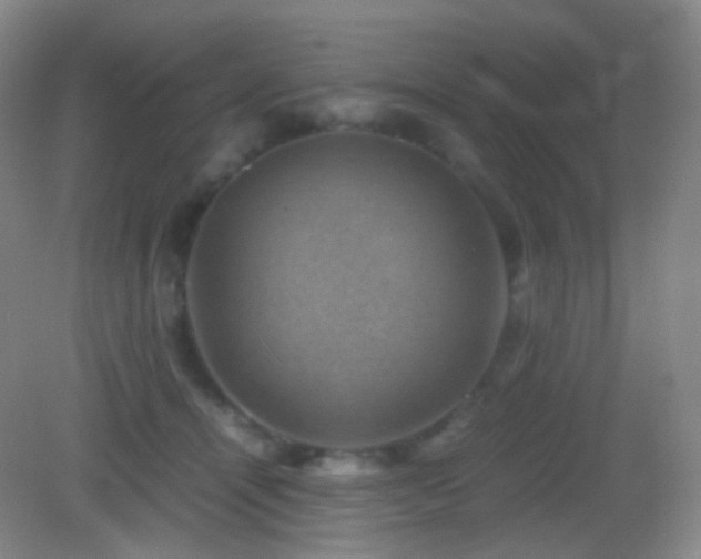 X0000082990464200702011433