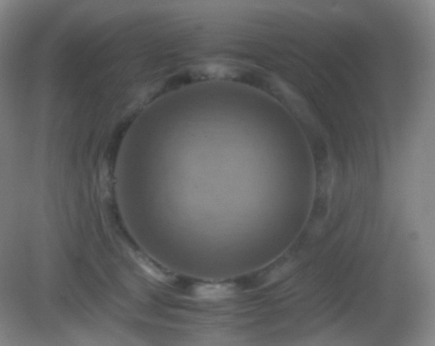 X0000082990465200702011433