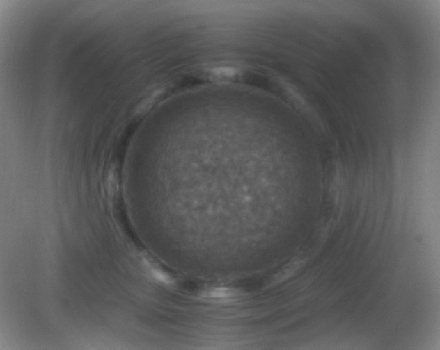 X0000082990467200702011433