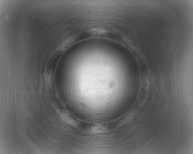 X0000082990468200702011433