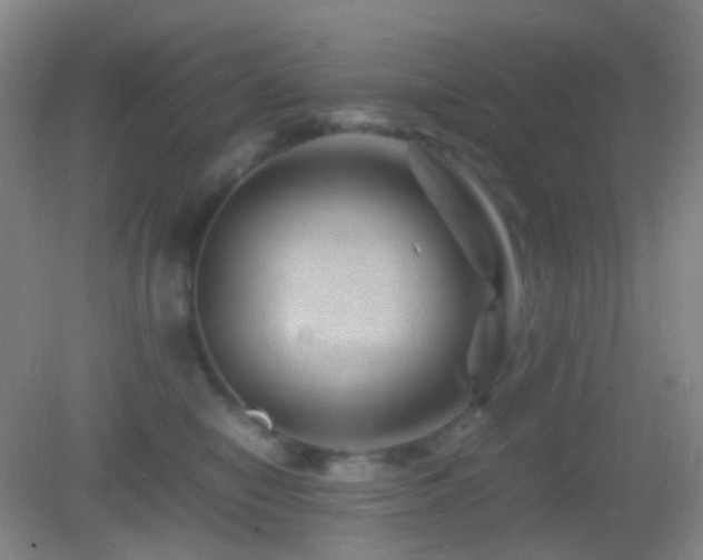 X0000082990470200702011433