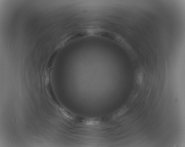 X0000082990471200702011433