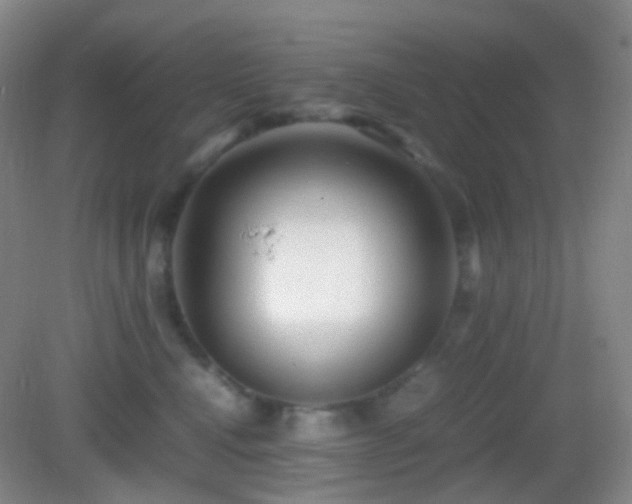 X0000082990472200702011433