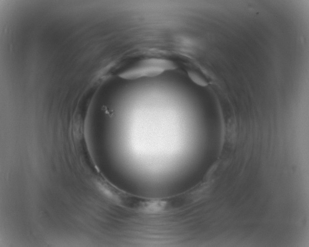 X0000082990474200702011433