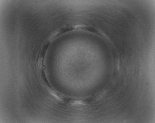 X0000082990475200702011434