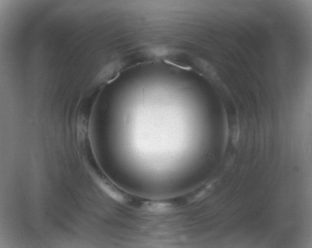 X0000082990476200702011434