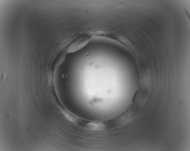 X0000082990477200702011434