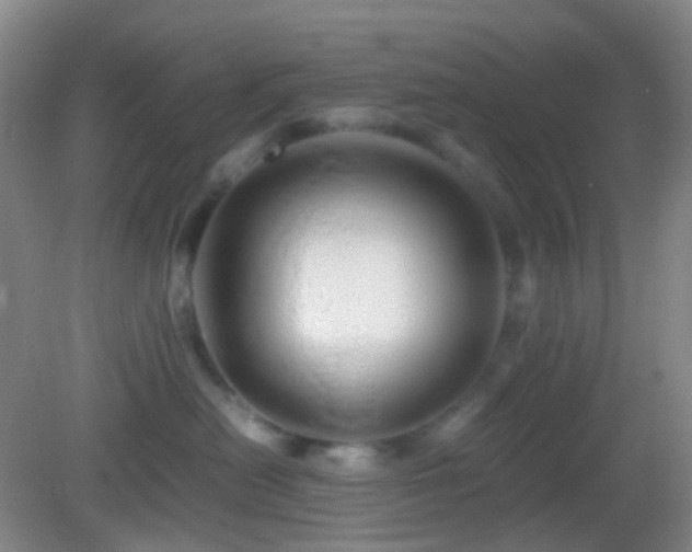 X0000082990478200702011434