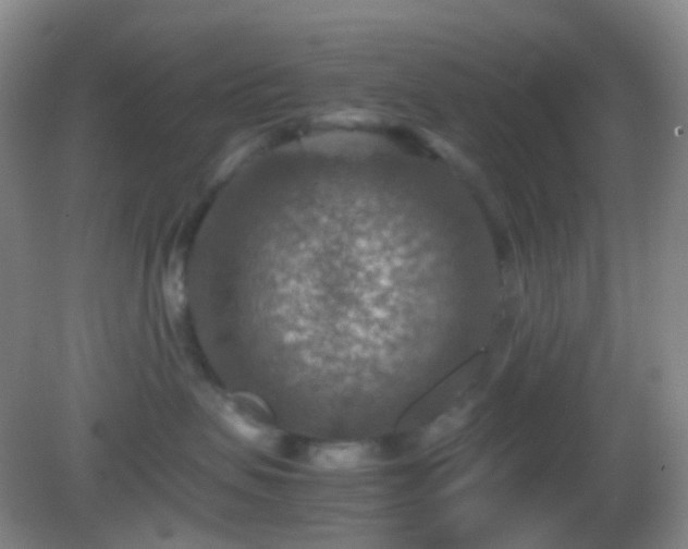 X0000082990479200702011434