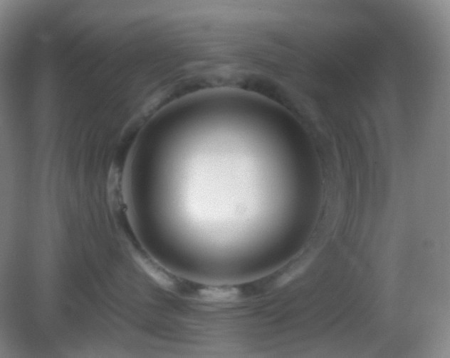 X0000082990480200702011434