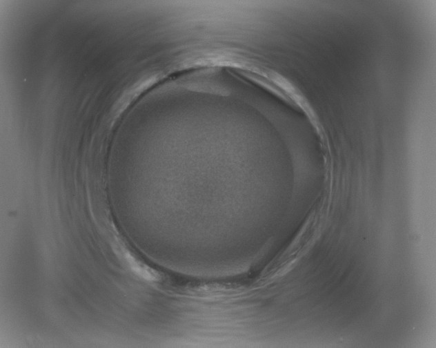 X0000082990481200702011433