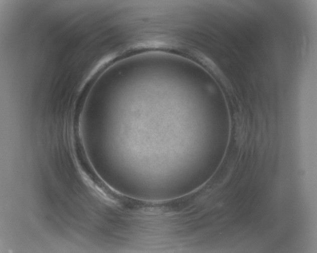 X0000082990482200702011433