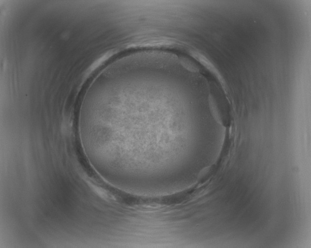 X0000082990483200702011433